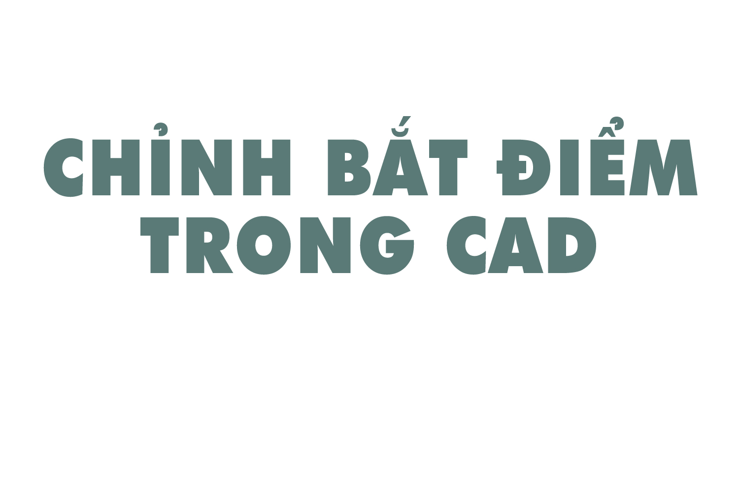 chinh-bat-diem-trong-cad-0