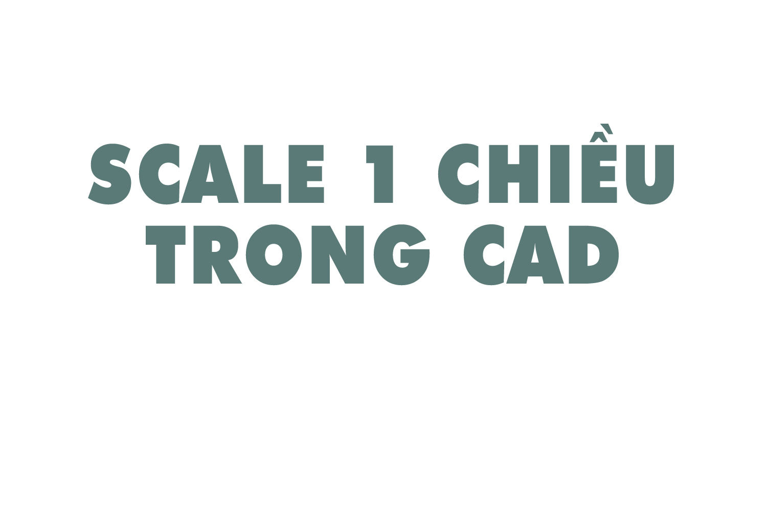 scale-1-chieu-trong-cad-0