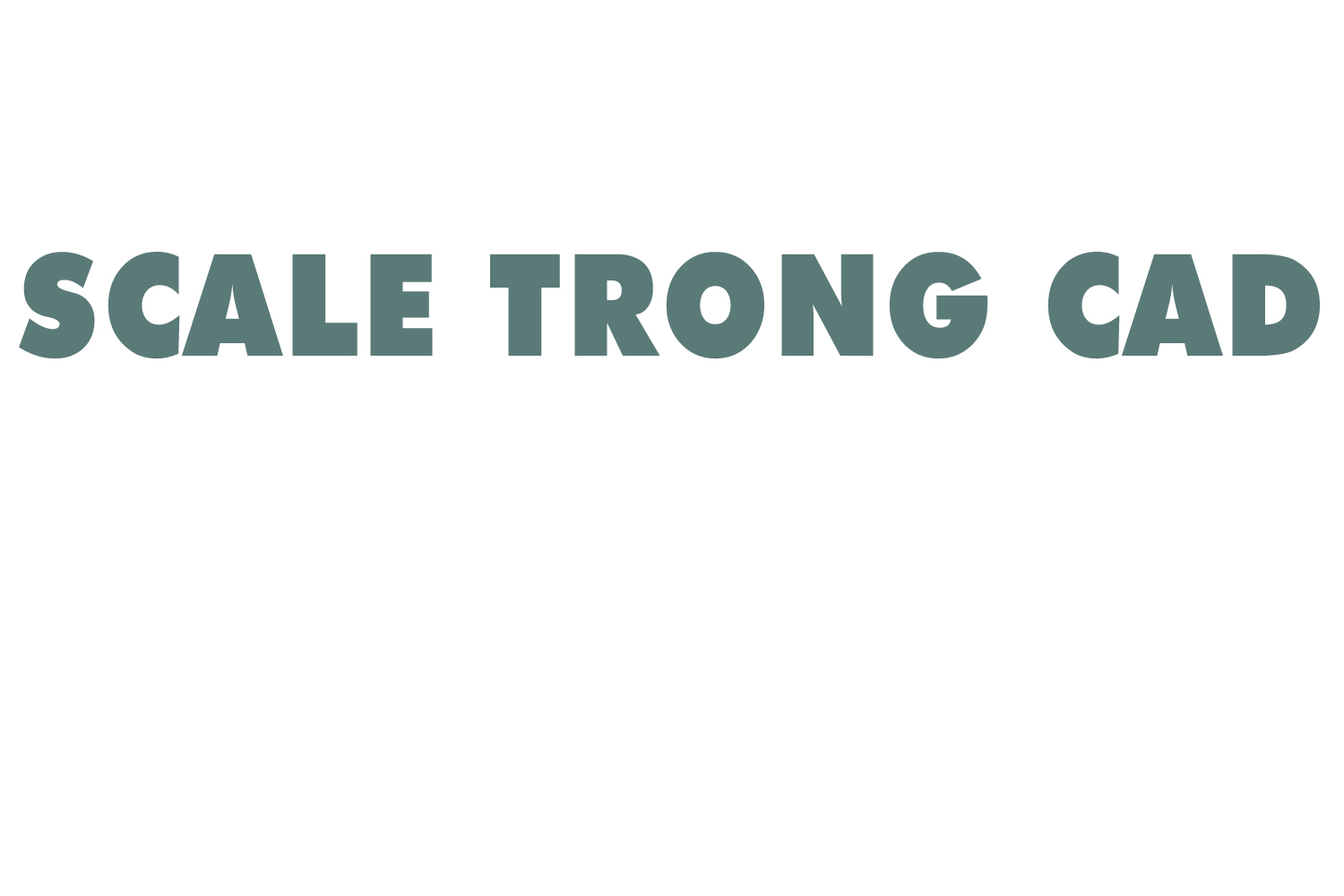 scale-trong-cad-0